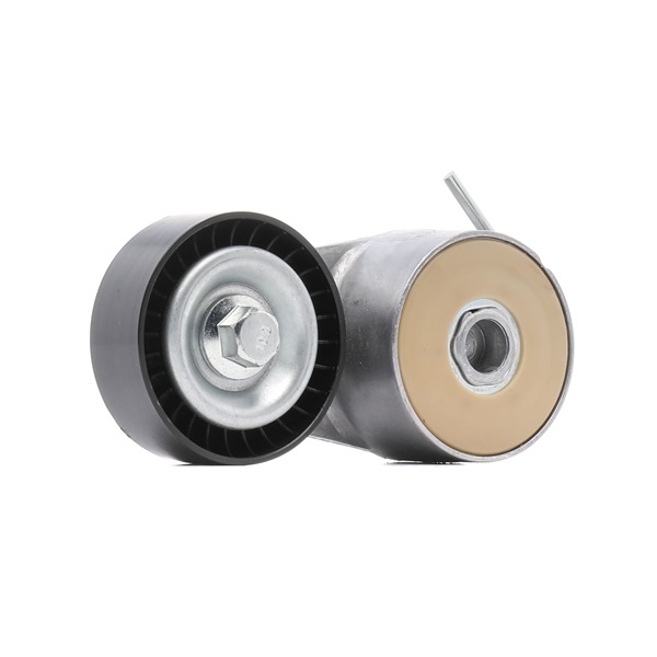 Compre Rolo tensor, correia trapezoidal estriada da RIDEX PLUS 310T0045P a um preço baixo por 38,38 €