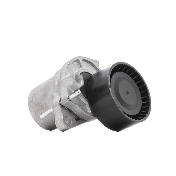 Spannrolle, Keilrippenriemen 310T0302P