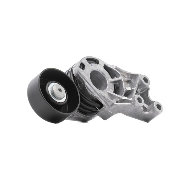 Comprar Tensor de correa poli V de RIDEX PLUS 541V0027P a bajo precio de 51,97 €