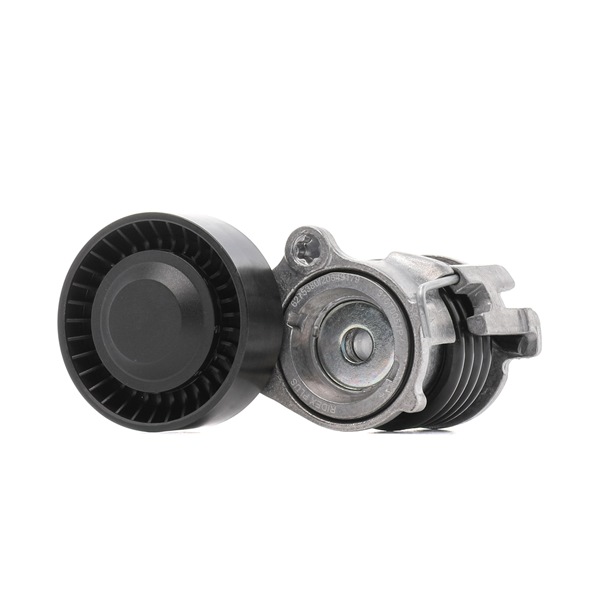 Comprar Polea tensora, correa poli V de RIDEX PLUS 310T0057P a bajo precio de 47,00 €
