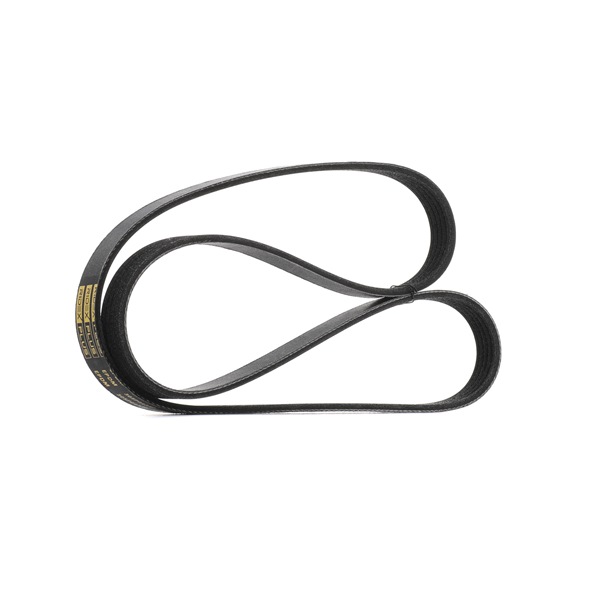 Keilrippenriemen 305P0433P von RIDEX PLUS günstig für 11,43 € online kaufen