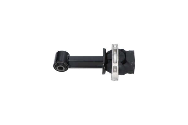 Acquista Supporto motore da KAVO PARTS online per i10 Tre volumi a prezzi moderati