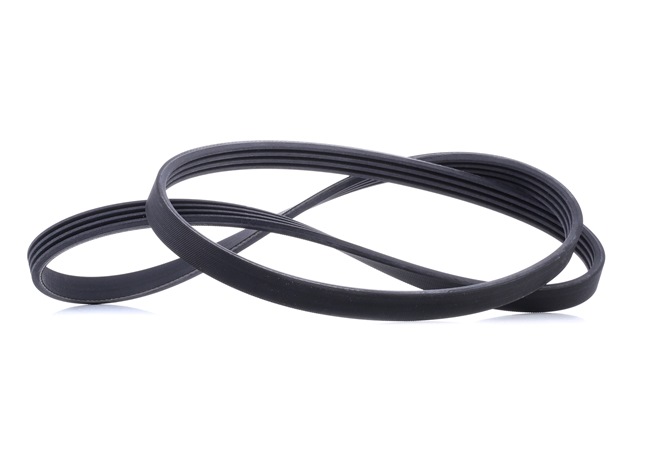 Acquista online CONTITECH Cinghia servizi Art.: 4PK1237