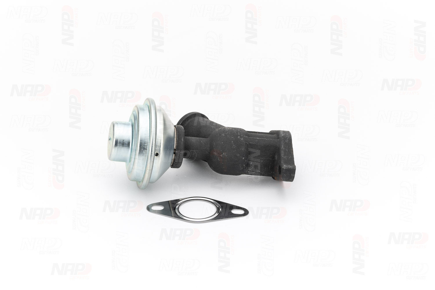 AGR-Ventil CAV10081 von NAP carparts günstig für 76,32 € online kaufen