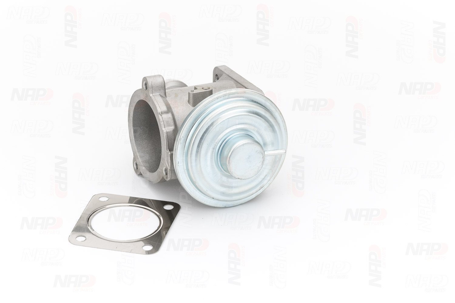 Compre NAP carparts Válvula EGR Art.: CAV10134 online