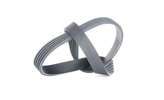 Achetez des Courroie Poly-V CONTITECH 5PK725 à prix pour 11,41 €