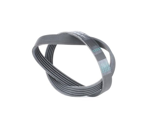 Acquista online CONTITECH Cinghia servizi Art.: 5PK880