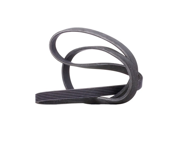 Acquista online CONTITECH Cinghia servizi Art.: 6DPK1853