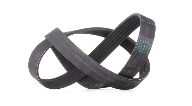 Achetez des Courroie Poly-V CONTITECH 6PK1005 à prix pour 14,90 €
