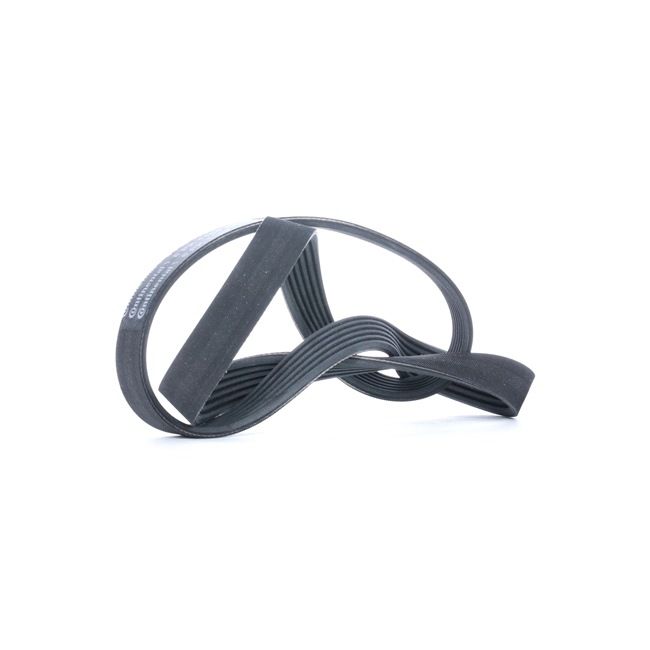 Online Shop für Keilrippenriemen von CONTITECH EAN: 4010858482404