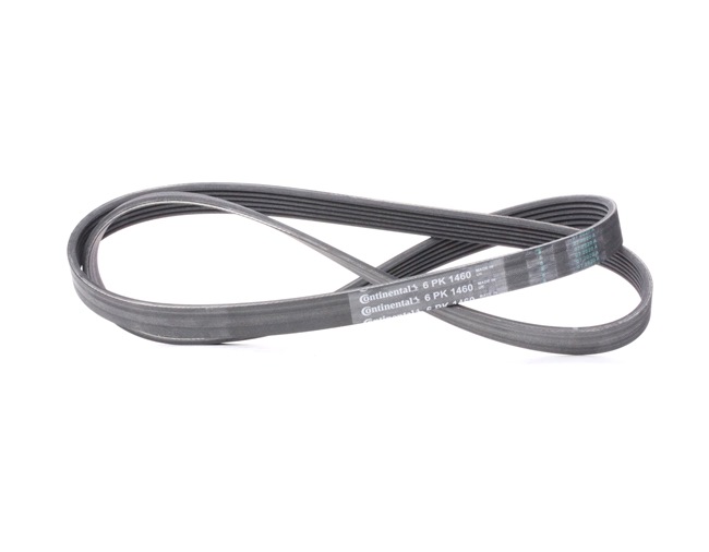 Online Shop für Keilrippenriemen von CONTITECH EAN: 4010858481230