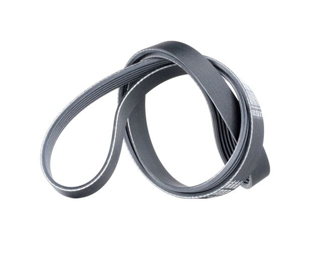 Acquista online CONTITECH Cinghia servizi Art.: 6PK1538
