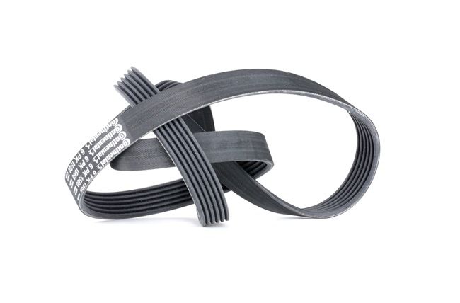 Compre Correia trapezoidal estriada da CONTITECH 6PK1560 a um preço baixo por 18,20 €