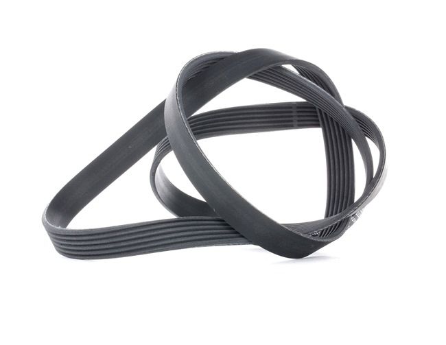 Acquista online CONTITECH Cinghia servizi Art.: 6PK1564
