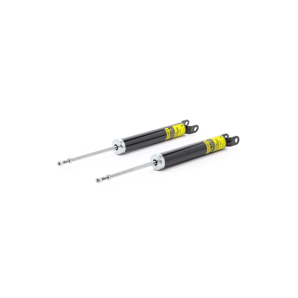 Stoßdämpfer 854S0891P