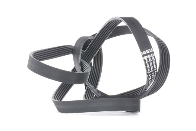 Acquista online CONTITECH Cinghia servizi Art.: 6PK2490