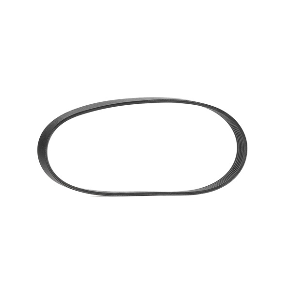 Acquista online CONTITECH Cinghia servizi Art.: 6PK737