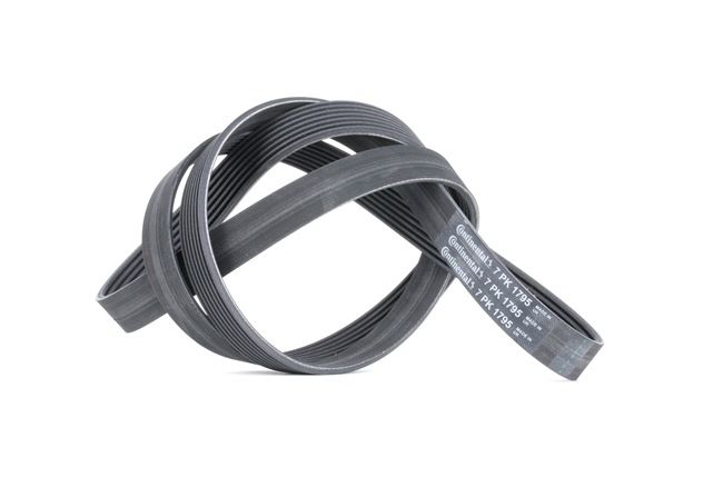 Online Shop für Keilrippenriemen von CONTITECH EAN: 4010858520922