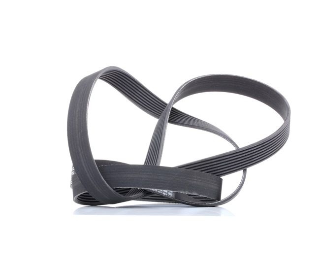 Online Shop für Keilrippenriemen von CONTITECH EAN: 4010858451196