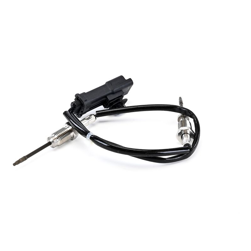 Compre Sensor, temperatura dos gases de escape da DELPHI TS30338-12B1 a um preço baixo por 142,80 €