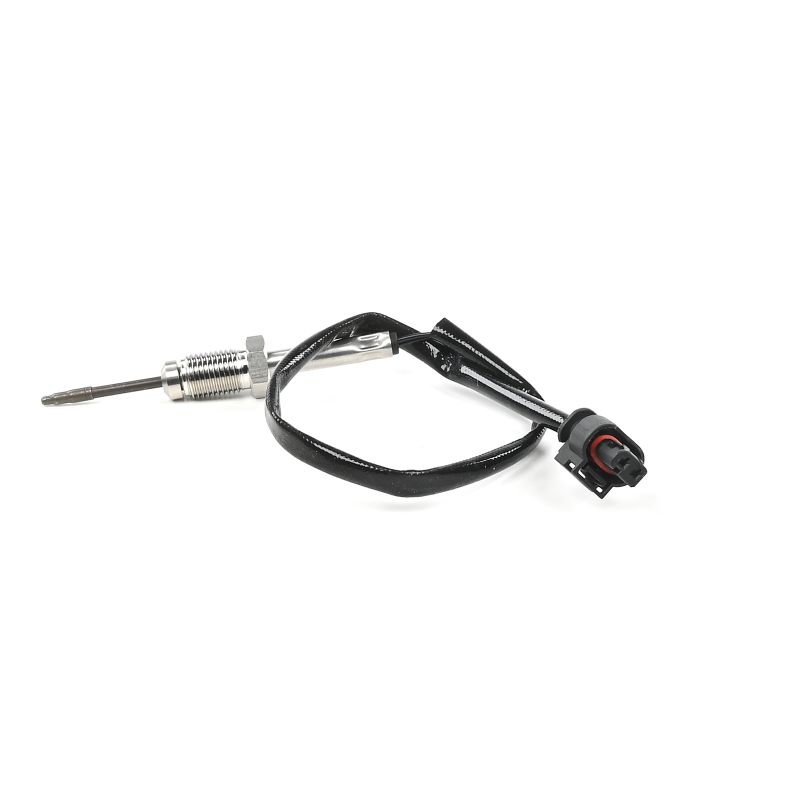 Abgastemperatursensor TS30346-12B1
