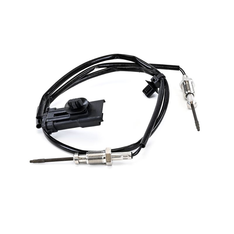 Compre Sensor, temperatura dos gases de escape da DELPHI TS30347-12B1 a um preço baixo por 138,69 €