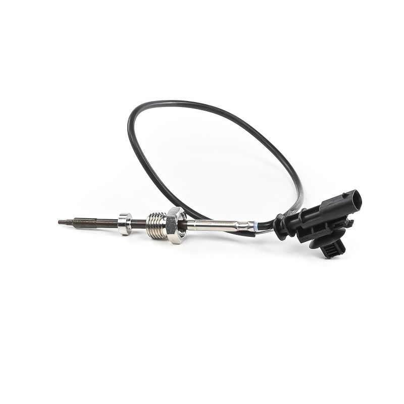 Compre Sensor, temperatura dos gases de escape da DELPHI TS30359-12B1 a um preço baixo por 70,53 €