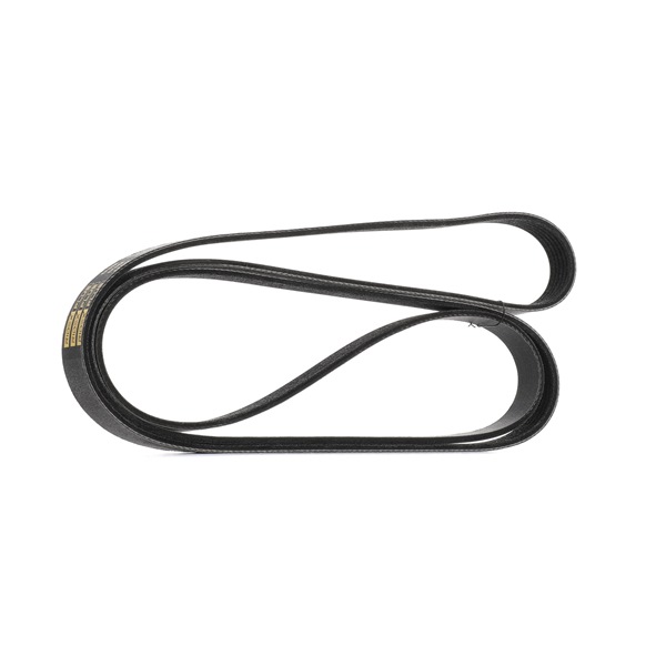 Compre Correia trapezoidal estriada da RIDEX PLUS 305P0100P a um preço baixo por 15,30 €