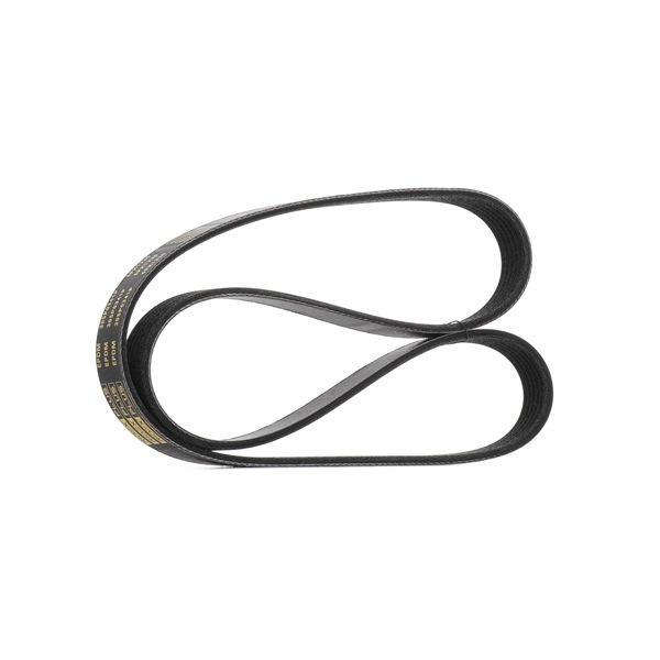Compre Correia trapezoidal estriada da RIDEX PLUS 305P0341P a um preço baixo por 11,59 €