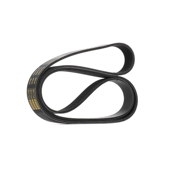 Keilrippenriemen 305P0219P von RIDEX PLUS günstig für 21,13 € online kaufen