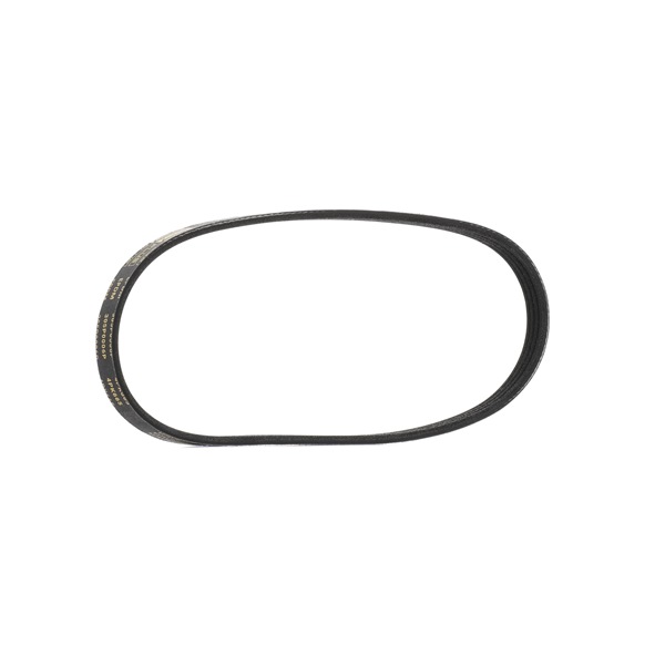 Achetez des Courroie Poly-V RIDEX PLUS 305P0006P à prix pour 7,35 €