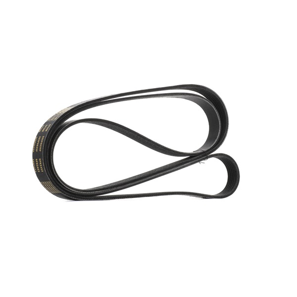 Keilrippenriemen 305P0639P von RIDEX PLUS günstig für 29,82 € online kaufen