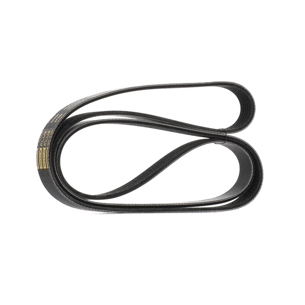 Achetez des Courroie Poly-V RIDEX PLUS 305P0157P à prix pour 17,97 €