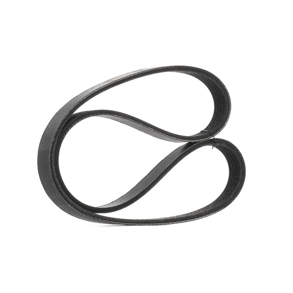 Acquista Cinghia servizi da RIDEX PLUS 305P0172P a buon mercato per soli 9,17 €