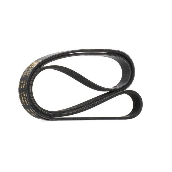 Achetez des Courroie Poly-V RIDEX PLUS 305P0645P à prix pour 17,74 €