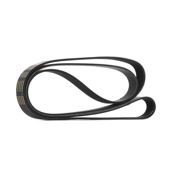 Keilrippenriemen 305P0491P von RIDEX PLUS günstig für 22,55 € online kaufen