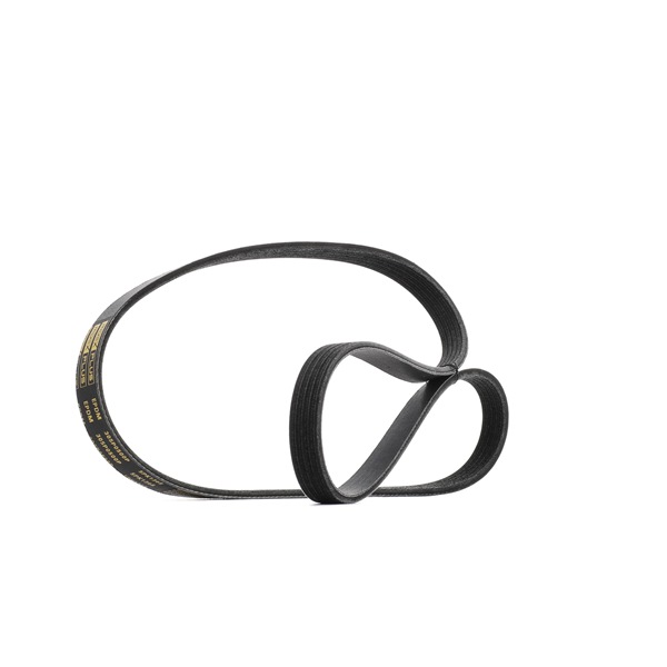 Achetez des Courroie Poly-V RIDEX PLUS 305P0500P à prix pour 13,60 €