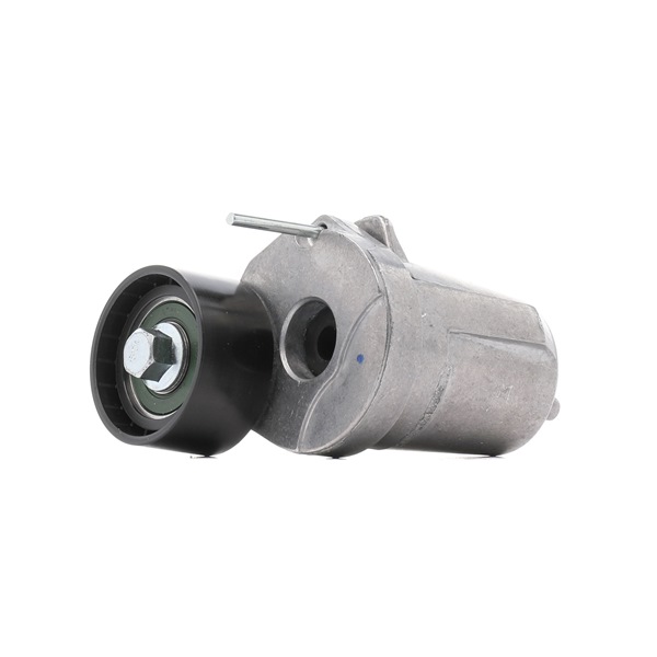 Online Shop für Spannrolle, Keilrippenriemen von RIDEX PLUS EAN: 4067448548934