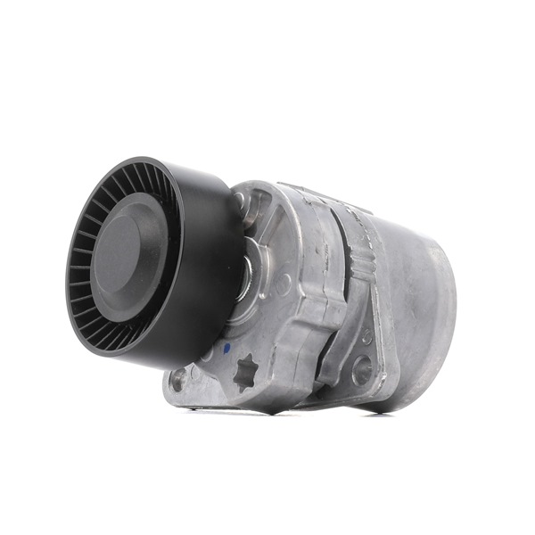 Comprar Tensor de correa poli V de RIDEX PLUS 541V0010P a bajo precio de 43,57 €