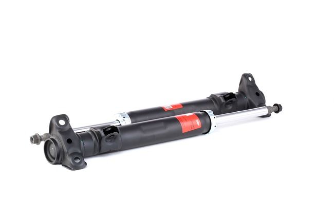 Stoßdämpfer JGM434T von TRW günstig für 59,37 € online kaufen