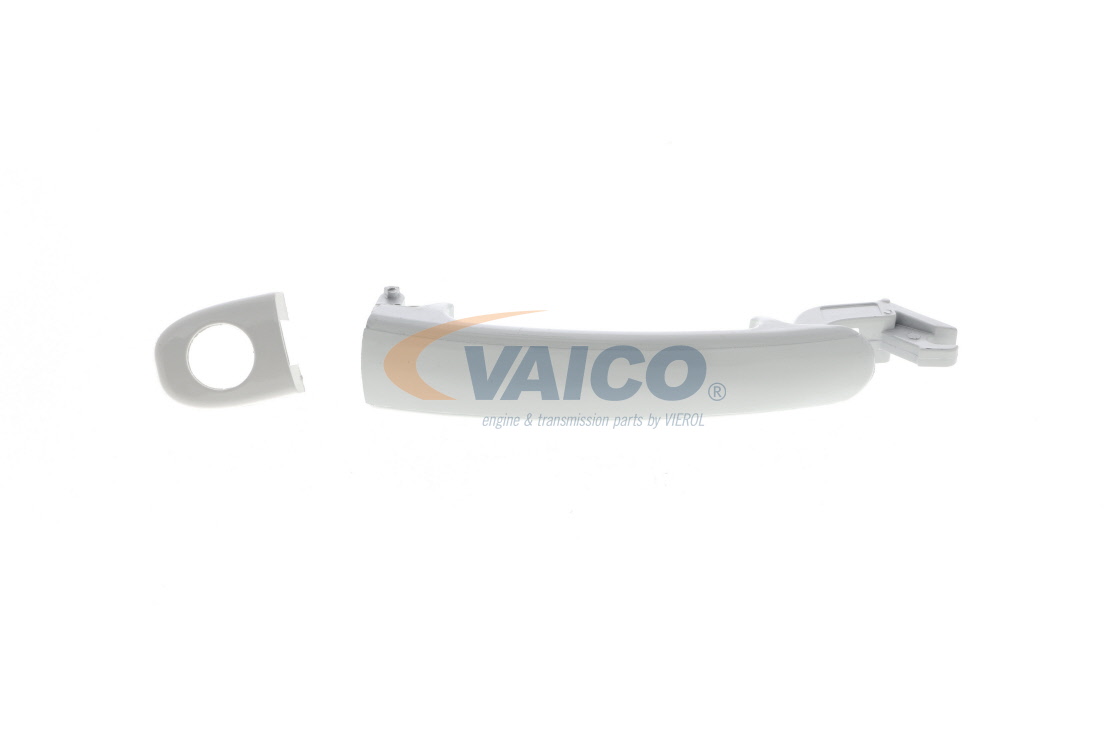 Türgriff von VAICO