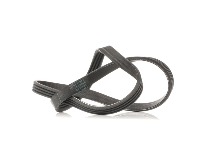 Online Shop für Keilrippenriemen von DAYCO EAN: 8021787528282