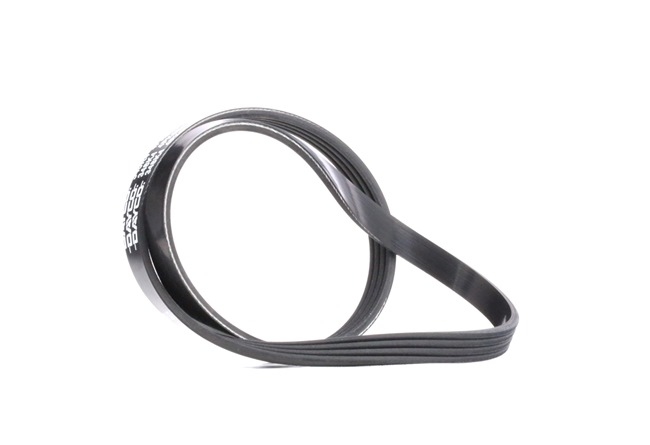 Compre Correia trapezoidal estriada da DAYCO 4PK884 a um preço baixo por 8,53 €