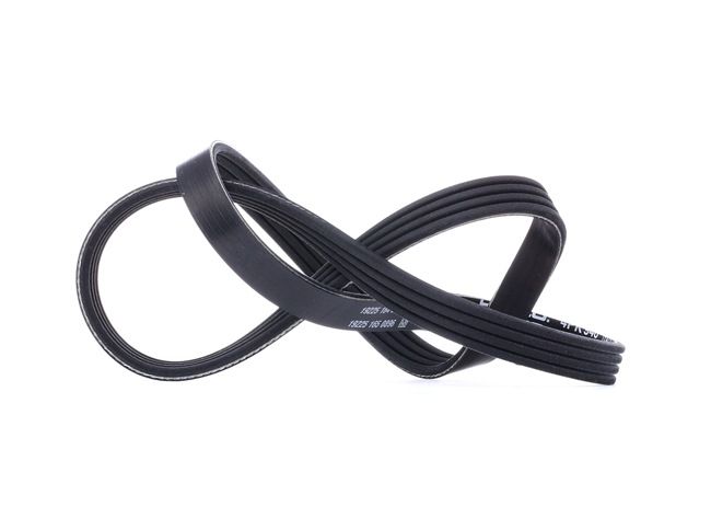 Acquista online DAYCO Cinghia servizi Art.: 4PK946