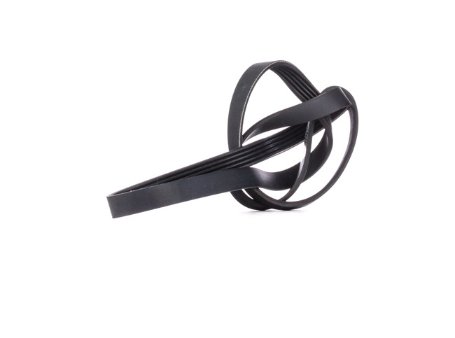 Original DAYCO Keilrippenriemen online kaufen