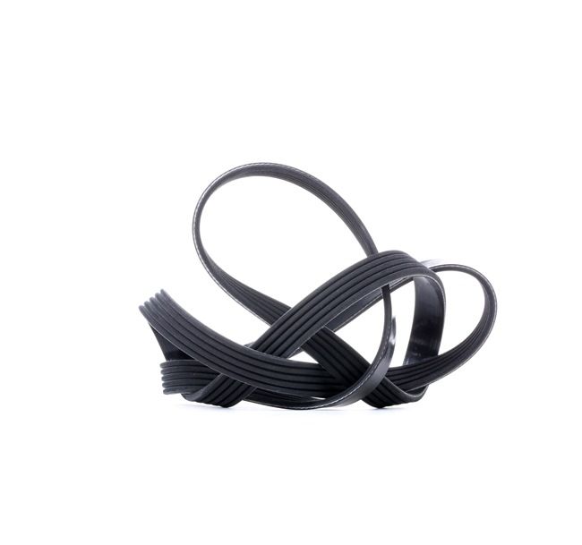 Acquista online DAYCO Cinghia servizi Art.: 5PK1355