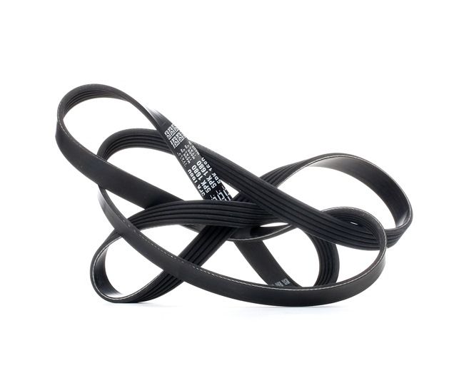 Achetez des DAYCO Courroie Poly-V Art.: 5PK1680 en ligne