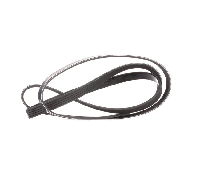 Online Shop für Keilrippenriemen von DAYCO EAN: 8021787024920
