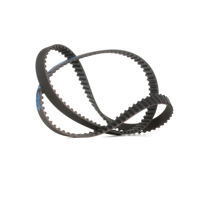 Acquista online DAYCO Cinghia dentata Art.: 94345