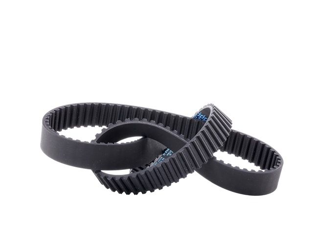Achetez des Courroie de distribution DAYCO 94588 à prix pour 22,65 €